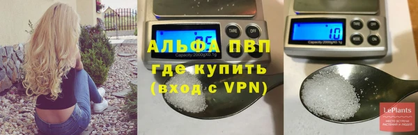 spice Белокуриха