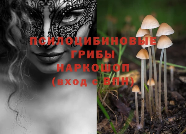 винт Беломорск